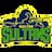 Multan Sultans