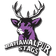 Escudo do Bahawalpur