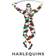 Escudo do Harlequin FC