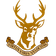 Escudo do Ballynahinch