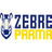 Zebre Rugby