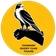 Escudo do Chinnor