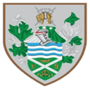Escudo do Tynedale
