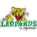 Villeneuve Leopards XIII