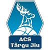 ACS Targu Jiu