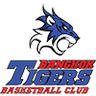 Bangkok Tiger Thunder