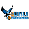 BCM Orli Prostejov