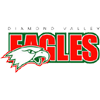 Diamond Valley Eagles