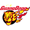 Guangdong Southern Tigers