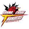 Gunma Crane Thunders