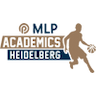 Heidelberg Academics