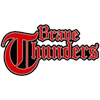 Kanagawa Brave Thunders