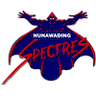 Nunawading Spectres