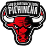 Pichincha Potosi