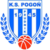 Pogon Prudnik