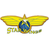 Starwings Basket