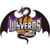 Yamagata Wyverns