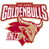 Zhejiang Golden Bulls