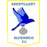 Abertillery Bluebirds