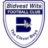 Bidvest Wits