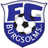 FC Burgsolms