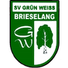 SV Grun-Weiss Brieselang