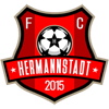 AFC Hermannstadt