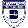 Bidvest Wits