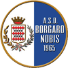 Borgaro