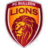 Bulleen Lions