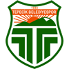 Buyukcekmece Tepecikspor