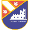 Caldicot Town