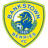 Canterbury Bankstown FC