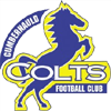 Cumbernauld Colts