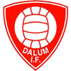 Dalum IF