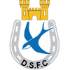 Dungannon Swifts