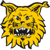 FC Ilves