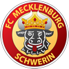 FC Mecklenburg Schwerin