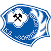 Gornik Konin