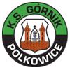 Gornik Polkowice