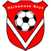 Harkemase Boys