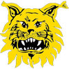 Ilves Women