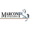 Marconi Stallions