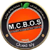 MCB Oued Sly