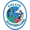 Montebelluna