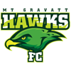 Mount Gravatt Hawks