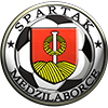 MSK Spartak Medzilaborce