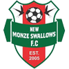 New Monze Swallows