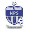 Ngezi Platinum FC