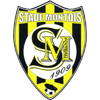 Stade Montois